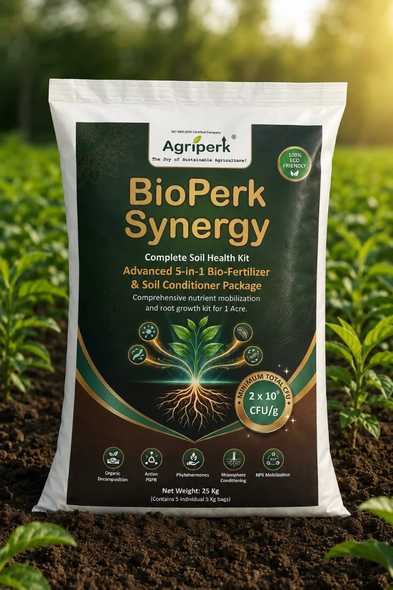 BIOPERK SYNERGY
