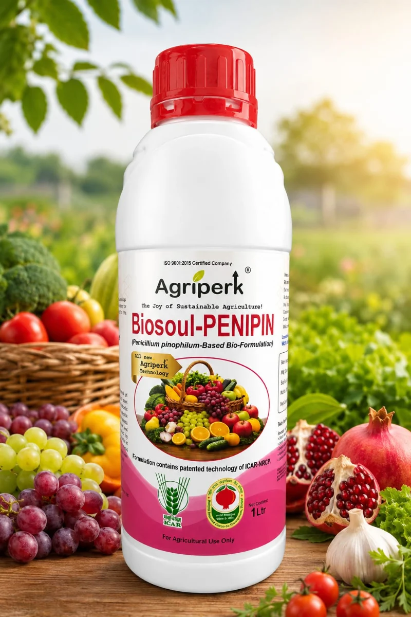 BIOSOUL-PENIPIN