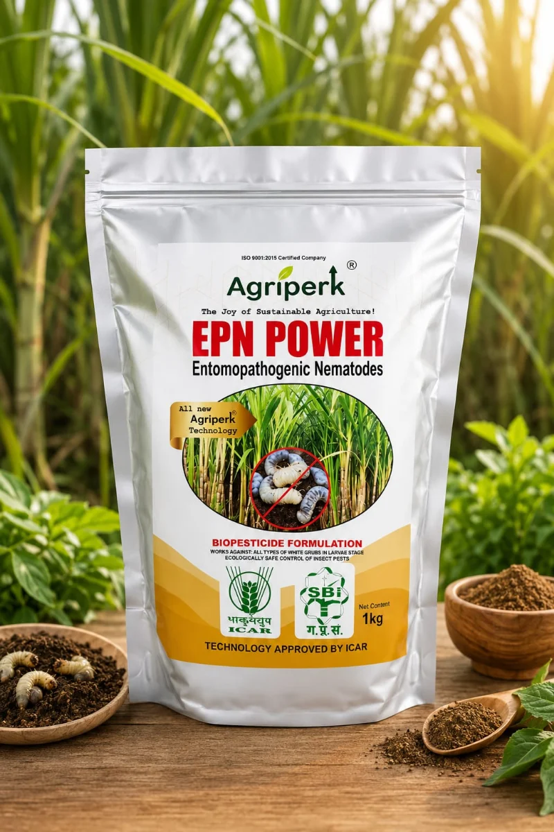 EPN POWER