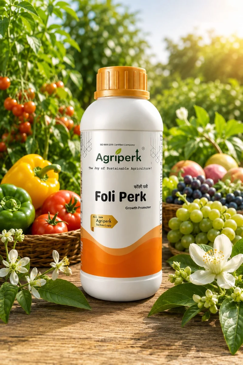 FOLI PERK