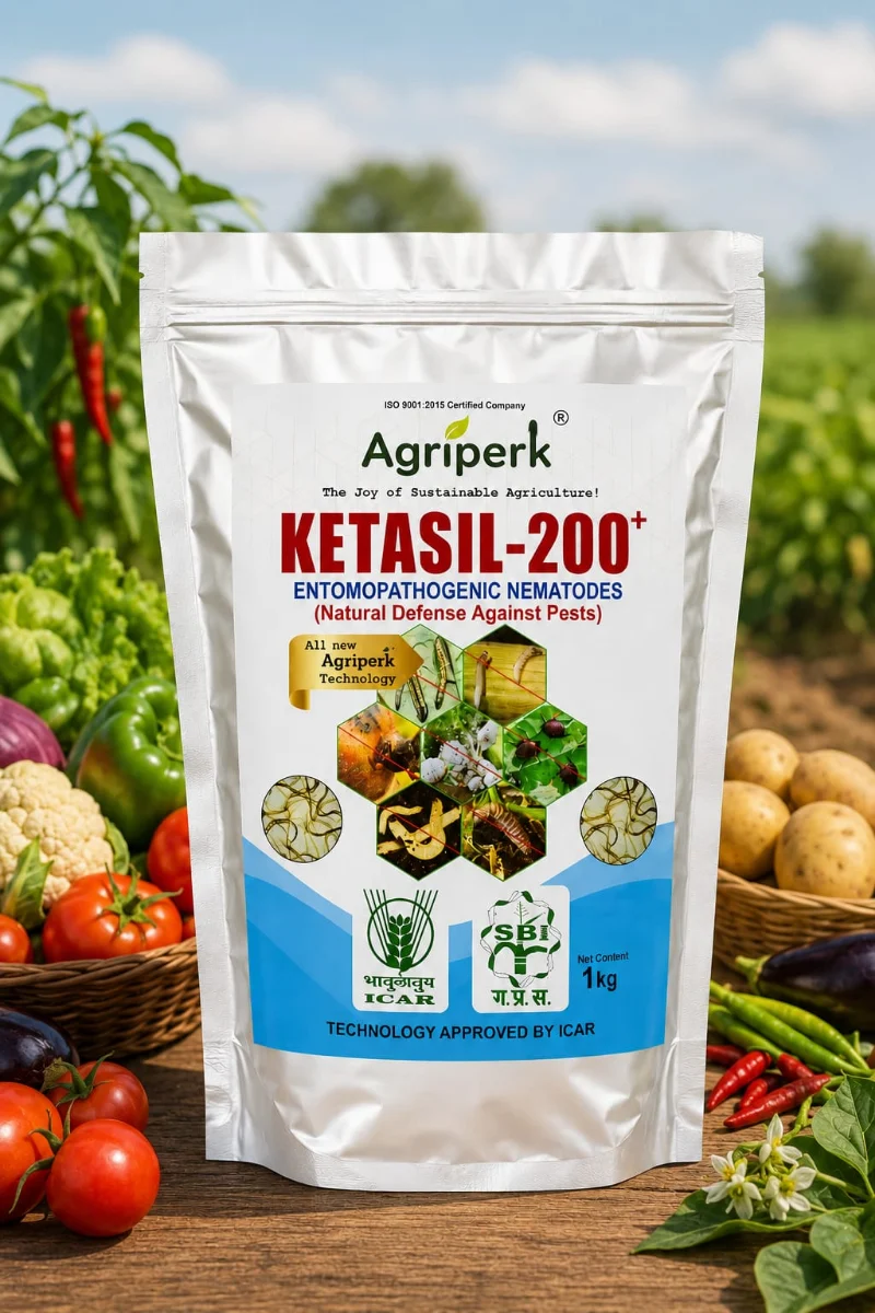 KETASIL-200+