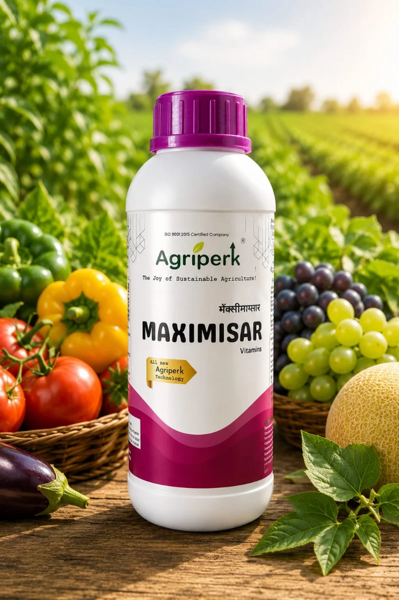 MAXIMISAR