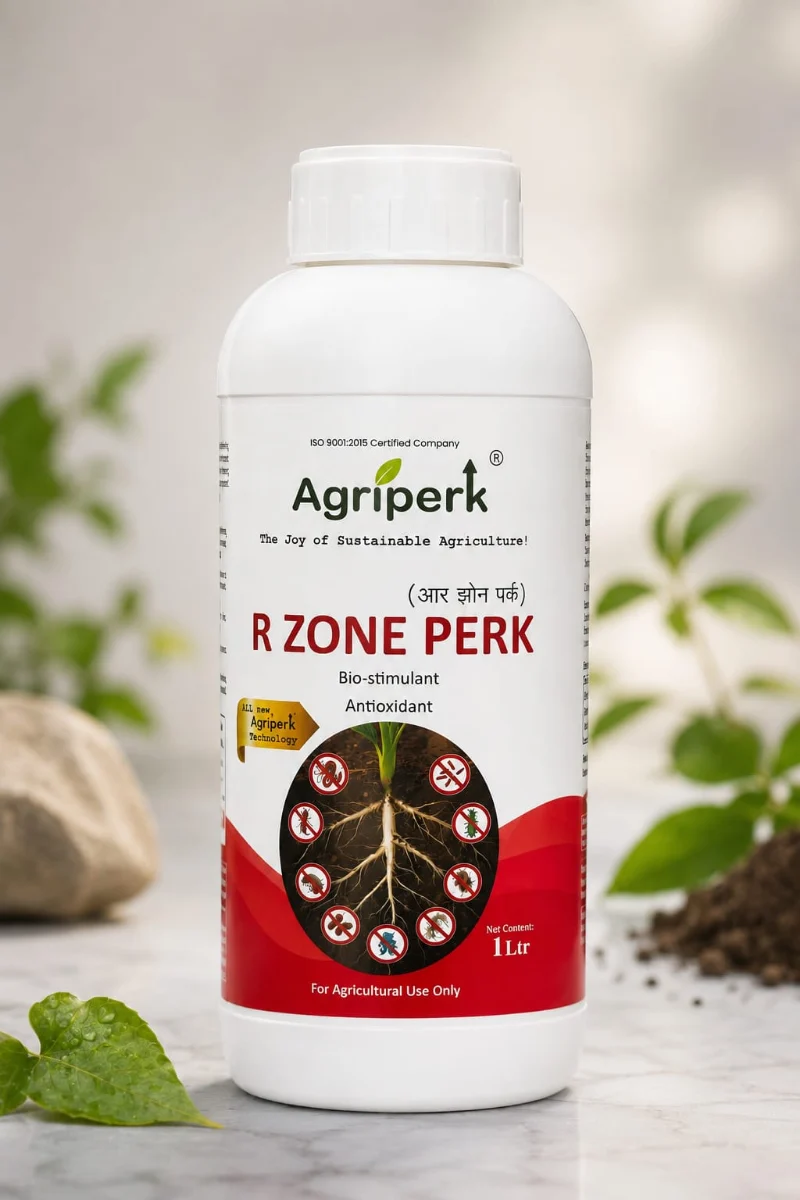 R ZONE PERK