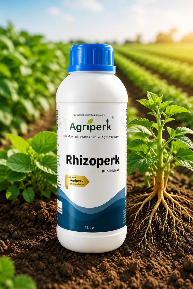 RHIZOPERK