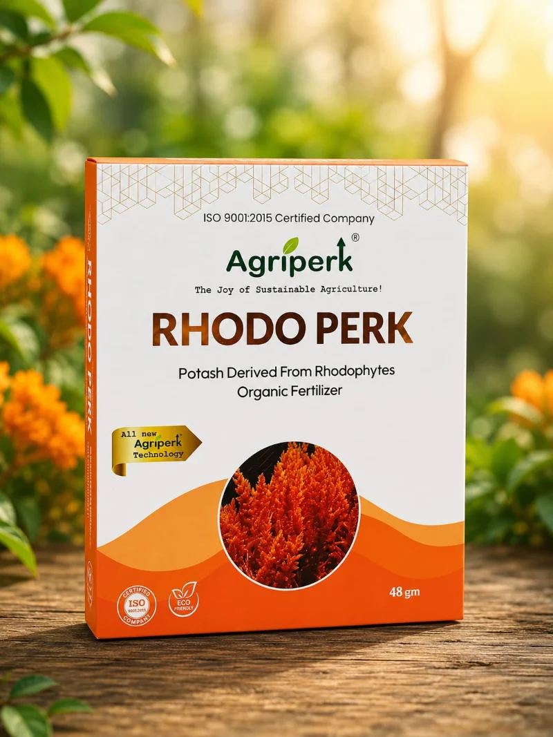 RHODO PERK